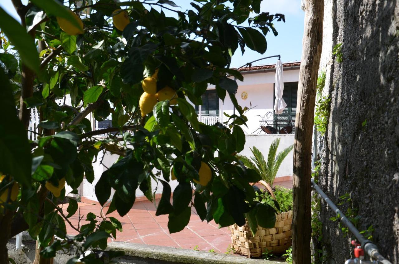 Villa Luciana Sant'Agnello Eksteriør bilde